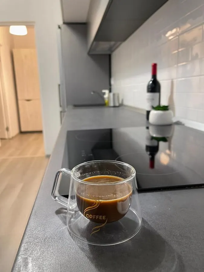 Skyline Luxury Apartment Near Presidential Palace Bucharest